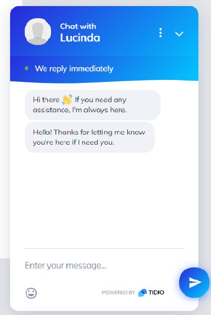 Tidio Live Chat Example