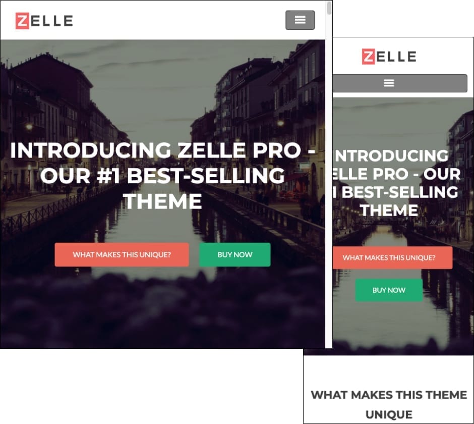 Zelle Pro